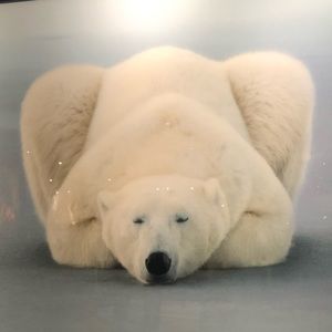 Meet your Posher, Mi